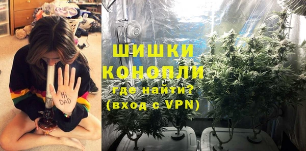 ешки Богданович
